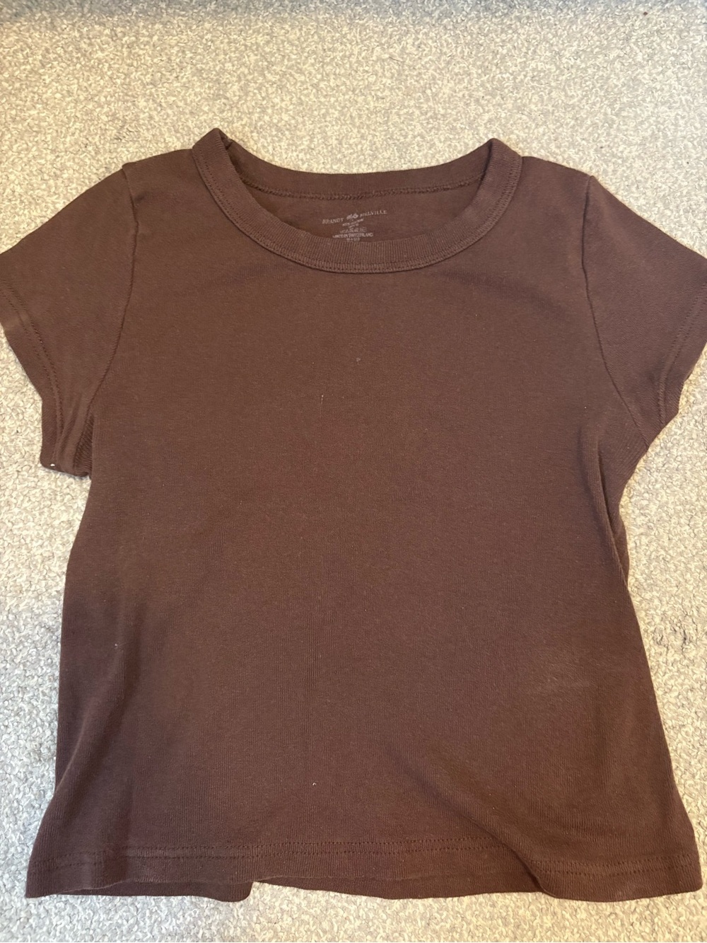 Brandy Melville Chocolate Brown Crewneck Sweater
